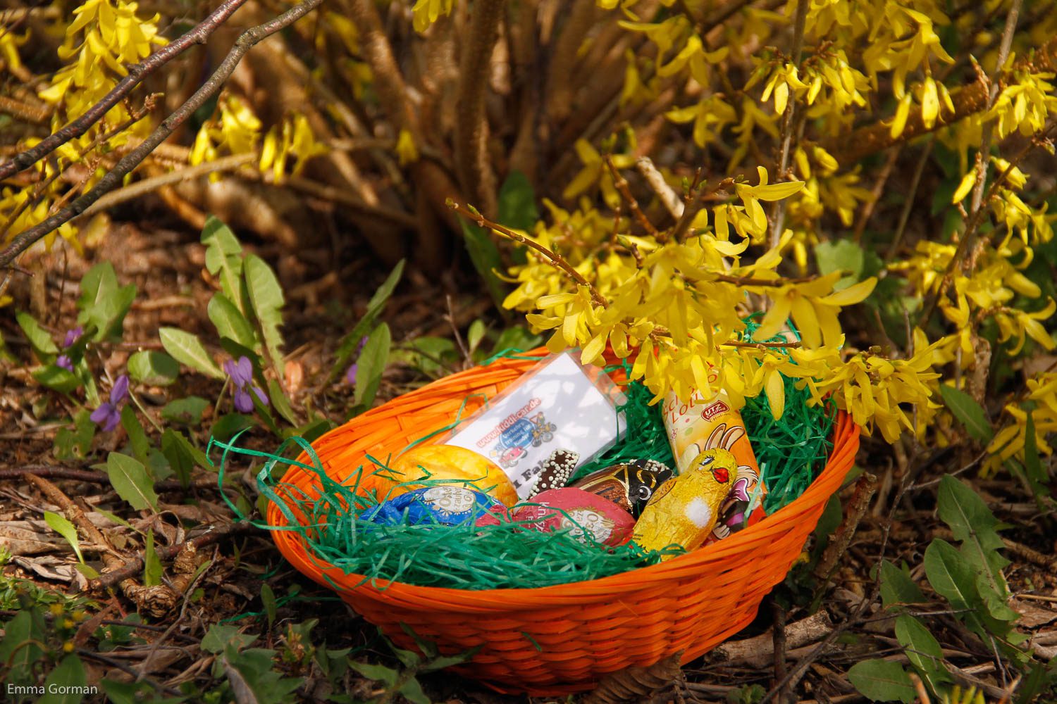 Kiddi-Car Quadfahren Osternest bei kiddi car